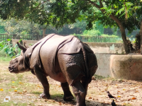 Zoo Tour with Children